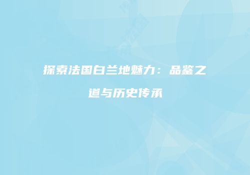 探索法国白兰地魅力：品鉴之道与历史传承