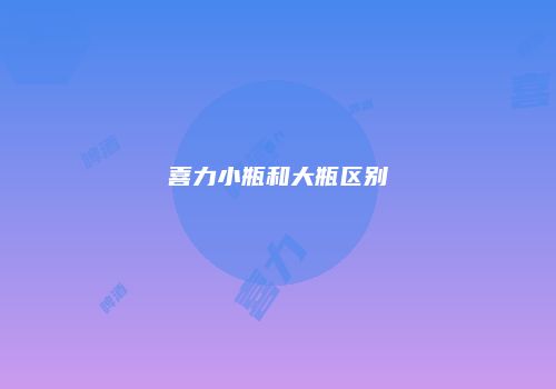 喜力小瓶和大瓶区别