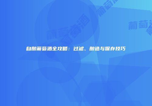 自酿葡萄酒全攻略：过滤、酿造与保存技巧