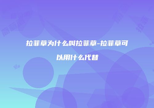 拉菲草为什么叫拉菲草-拉菲草可以用什么代替
