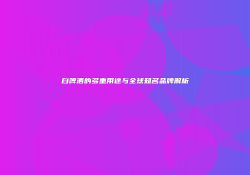 白啤酒的多重用途与全球知名品牌解析