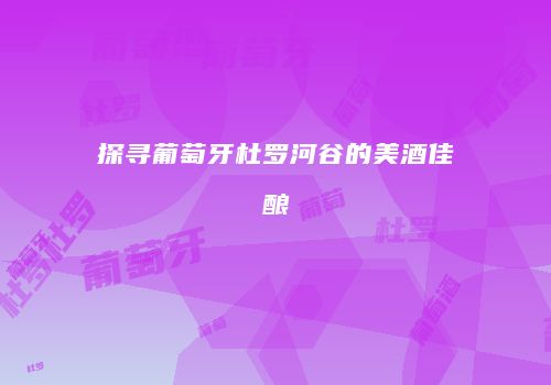 探寻葡萄牙杜罗河谷的美酒佳酿