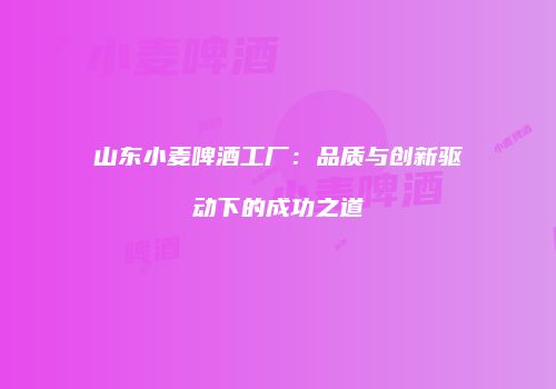 山东小麦啤酒工厂：品质与创新驱动下的成功之道