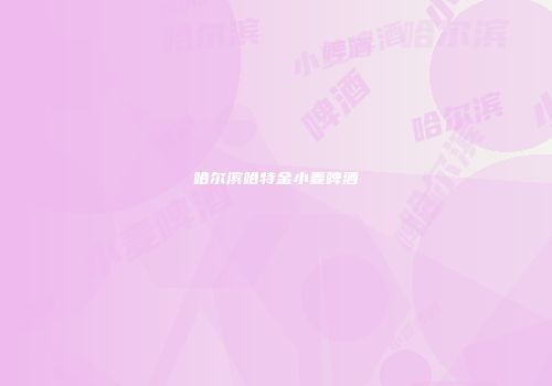 哈尔滨哈特金小麦啤酒