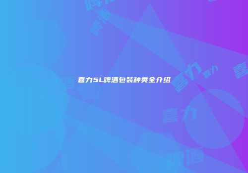 喜力5L啤酒包装种类全介绍