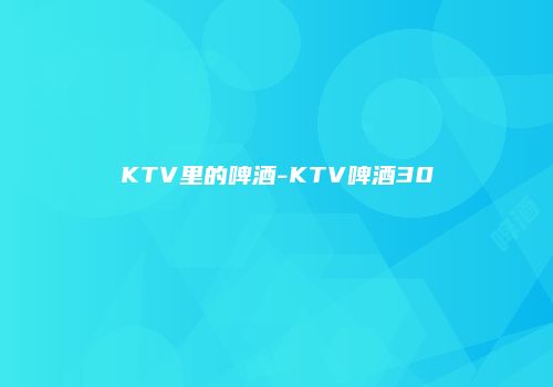 KTV里的啤酒-KTV啤酒30