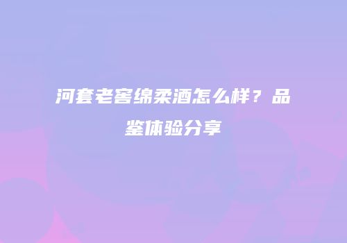 河套老窖绵柔酒怎么样？品鉴体验分享