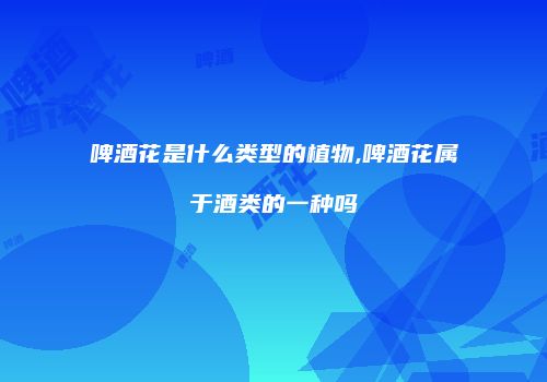 啤酒花是什么类型的植物,啤酒花属于酒类的一种吗