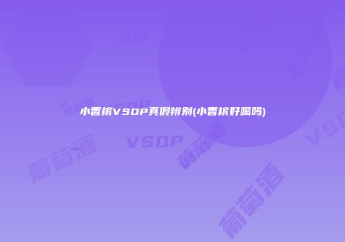 小香槟VSOP真假辨别(小香槟好喝吗)