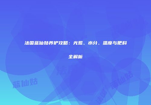 法国蓝仙姑养护攻略：光照、水分、温度与肥料全解析