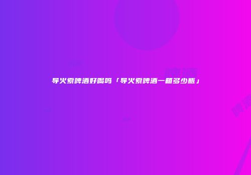 导火索啤酒好喝吗「导火索啤酒一箱多少瓶」