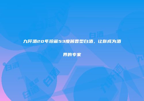 九阡酒20年珍藏53度酱香型白酒，让你成为酒界的专家