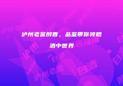 泸州老窖醇香，品鉴带你领略酒中世界