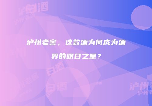 泸州老窖，这款酒为何成为酒界的明日之星？
