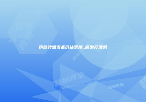 精酿啤酒设备价格表板_精酿打酒机