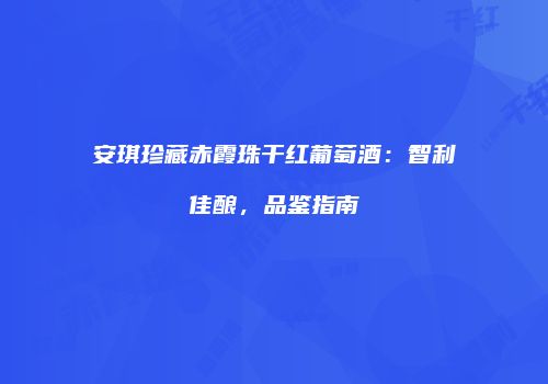 安琪珍藏赤霞珠干红葡萄酒：智利佳酿，品鉴指南