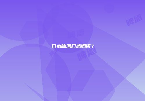 日本啤酒口感如何？