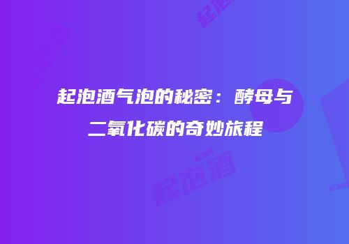 起泡酒气泡的秘密：酵母与二氧化碳的奇妙旅程