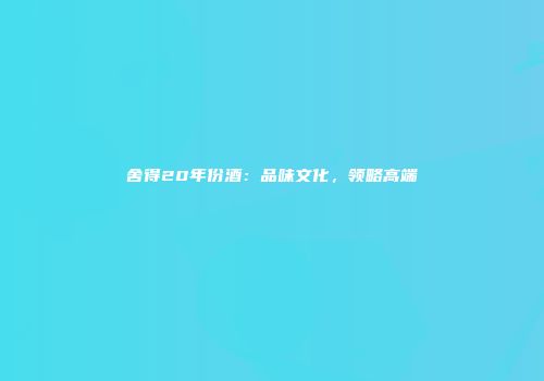 舍得20年份酒：品味文化，领略高端