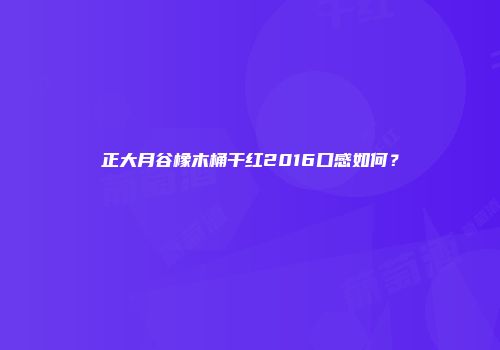 正大月谷橡木桶干红2016口感如何？