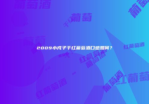 2009小戎子干红葡萄酒口感如何？