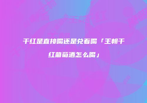 干红是直接喝还是兑着喝「王朝干红葡萄酒怎么喝」