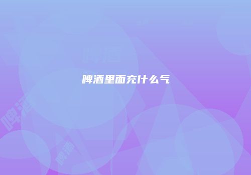 啤酒里面充什么气