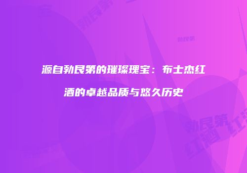 源自勃艮第的璀璨瑰宝：布士杰红酒的卓越品质与悠久历史