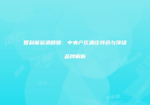 智利葡萄酒精髓：中央产区酒庄特色与顶级品牌解析