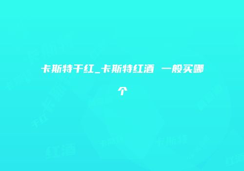 卡斯特干红_卡斯特红酒 一般买哪个