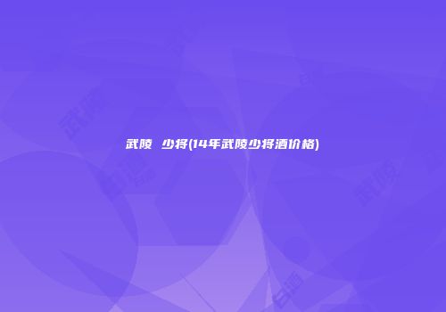 武陵 少将(14年武陵少将酒价格)