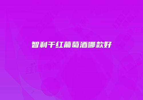 智利干红葡萄酒哪款好