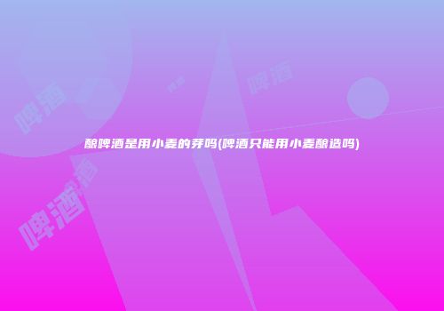 酿啤酒是用小麦的芽吗(啤酒只能用小麦酿造吗)