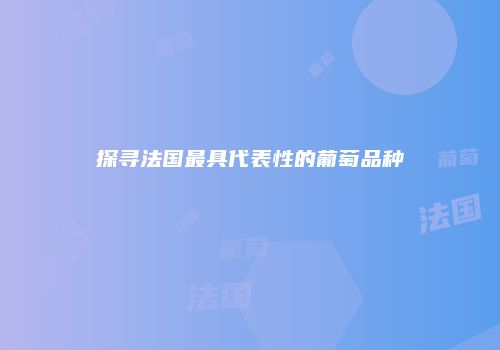 探寻法国最具代表性的葡萄品种