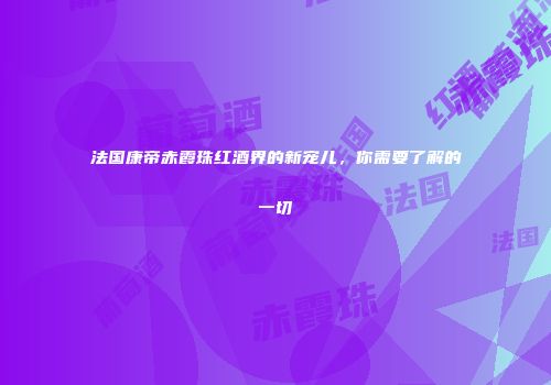 法国康帝赤霞珠红酒界的新宠儿，你需要了解的一切