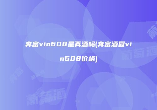 奔富vin608是真酒吗(奔富酒园vin608价格)