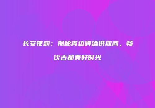 长安夜韵：揭秘宵边啤酒供应商，畅饮古都美好时光