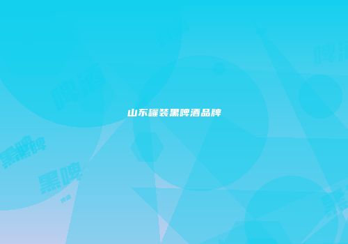 山东罐装黑啤酒品牌