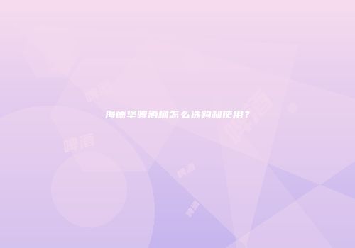 海德堡啤酒桶怎么选购和使用？