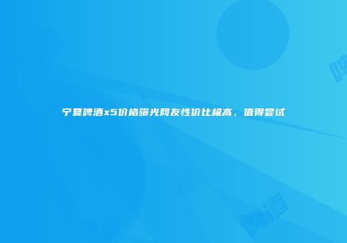 宁夏啤酒x5价格曝光网友性价比极高，值得尝试