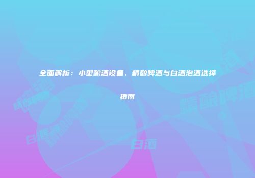 全面解析：小型酿酒设备、精酿啤酒与白酒泡酒选择指南