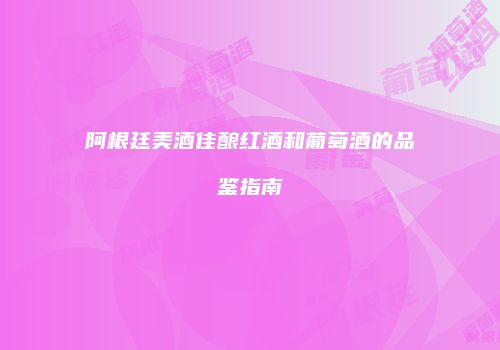 阿根廷美酒佳酿红酒和葡萄酒的品鉴指南