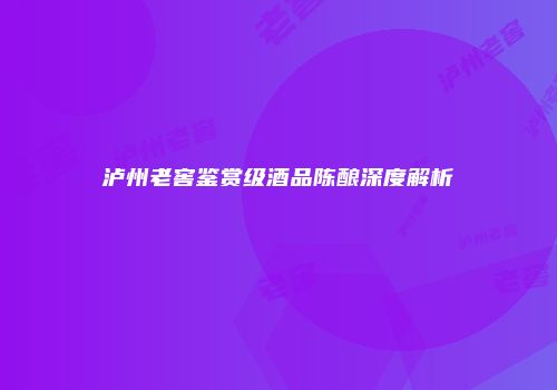 泸州老窖鉴赏级酒品陈酿深度解析