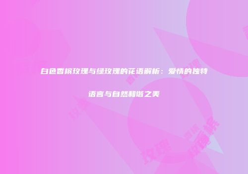 白色香槟玫瑰与绿玫瑰的花语解析：爱情的独特语言与自然和谐之美