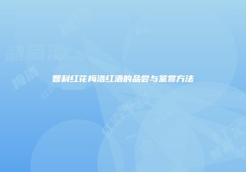 智利红花梅洛红酒的品尝与鉴赏方法