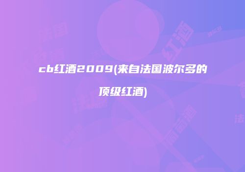 cb红酒2009(来自法国波尔多的顶级红酒)