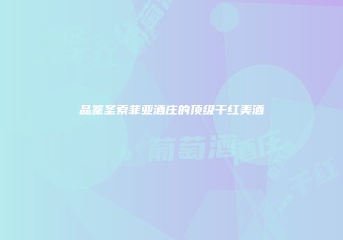 品鉴圣索菲亚酒庄的顶级干红美酒