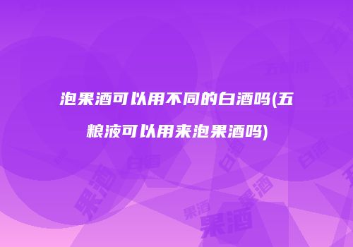 泡果酒可以用不同的白酒吗(五粮液可以用来泡果酒吗)