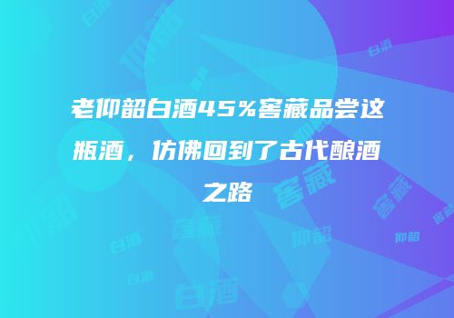 老仰韶白酒45%窖藏品尝这瓶酒，仿佛回到了古代酿酒之路