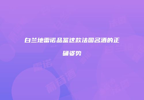 白兰地雷诺品鉴这款法国名酒的正确姿势